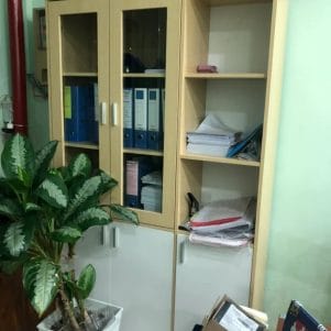 Tủ tài liệu văn phòng cánh kính Bigito – TIGA0211 - Ảnh 4